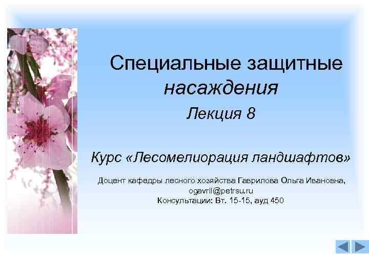 Специальные защитные насаждения Лекция 8 Курс «Лесомелиорация ландшафтов» Специальные защитные насаждения Лекция 8 Курс «Лесомелиорация ландшафтов»