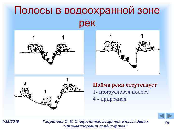 Полосы в водоохранной зоне рек Пойма реки отсутствует Полосы в водоохранной зоне рек Пойма реки отсутствует