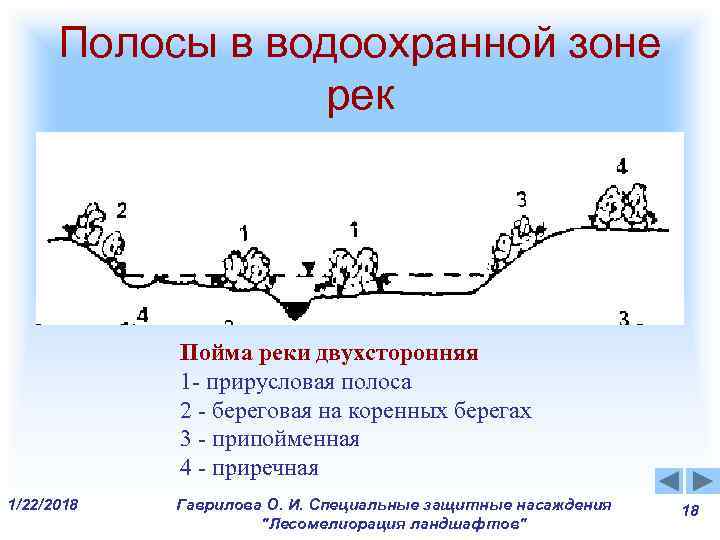 Полосы в водоохранной зоне рек Пойма реки двухсторонняя Полосы в водоохранной зоне рек Пойма реки двухсторонняя