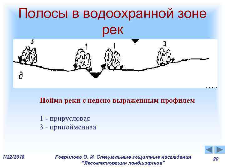 Полосы в водоохранной зоне рек Пойма реки с неясно Полосы в водоохранной зоне рек Пойма реки с неясно