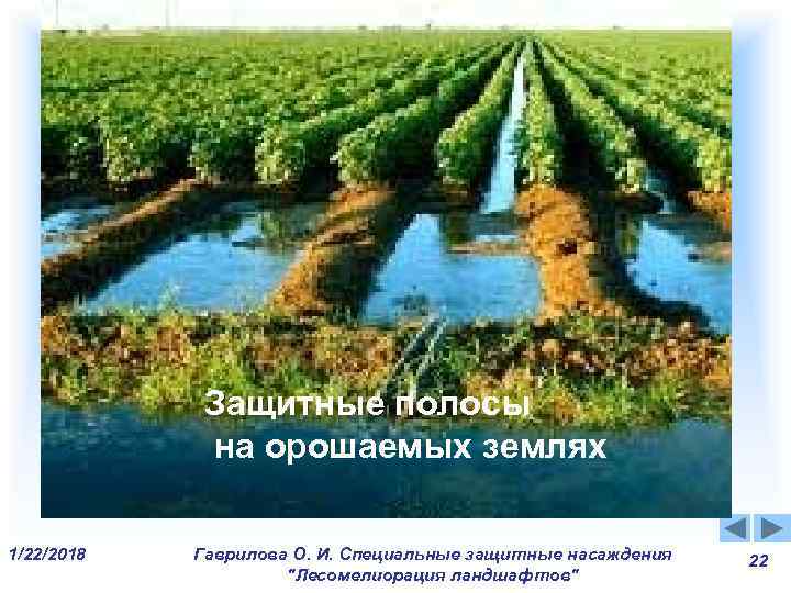 Защитные полосы на орошаемых землях 1/22/2018 Гаврилова О. Защитные полосы на орошаемых землях 1/22/2018 Гаврилова О.