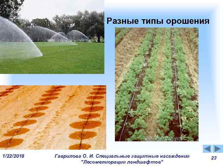 Разные типы орошения 1/22/2018 Гаврилова О. И. Специальные Разные типы орошения 1/22/2018 Гаврилова О. И. Специальные