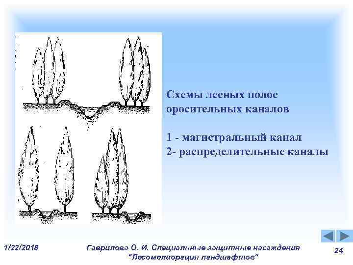 Схемы лесных полос оросительных каналов Схемы лесных полос оросительных каналов