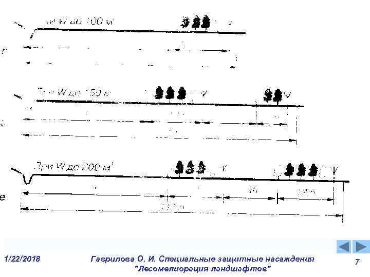 1/22/2018 Гаврилова О. И. Специальные защитные насаждения 7 1/22/2018 Гаврилова О. И. Специальные защитные насаждения 7