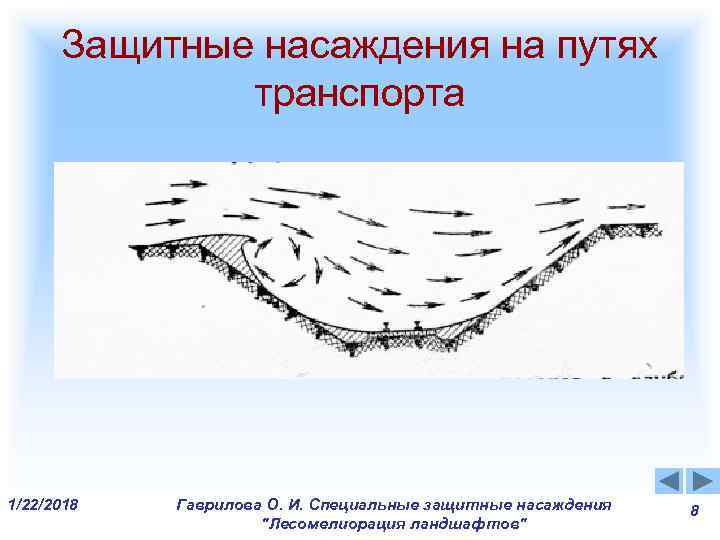 Защитные насаждения на путях транспорта 1/22/2018 Гаврилова О. И. Защитные насаждения на путях транспорта 1/22/2018 Гаврилова О. И.