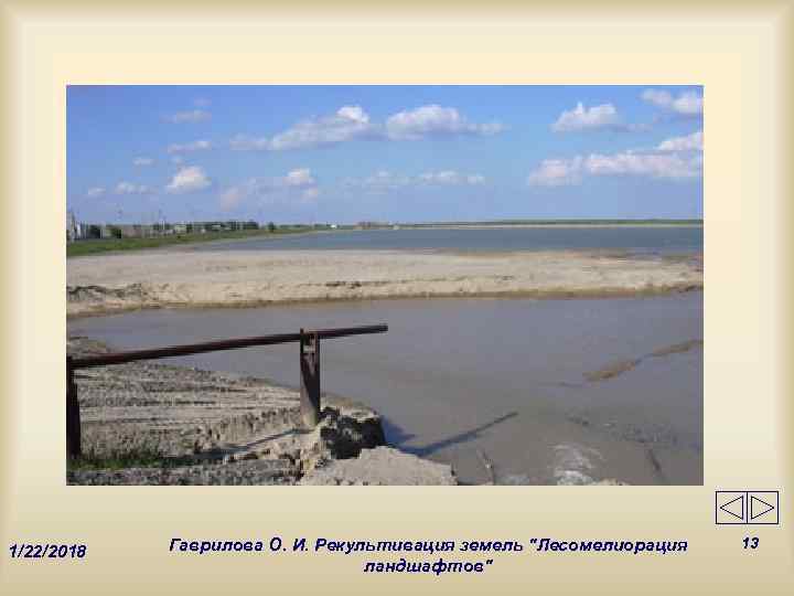   Гаврилова О. И. Рекультивация земель 