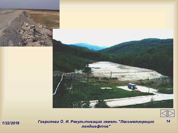   Гаврилова О. И. Рекультивация земель 