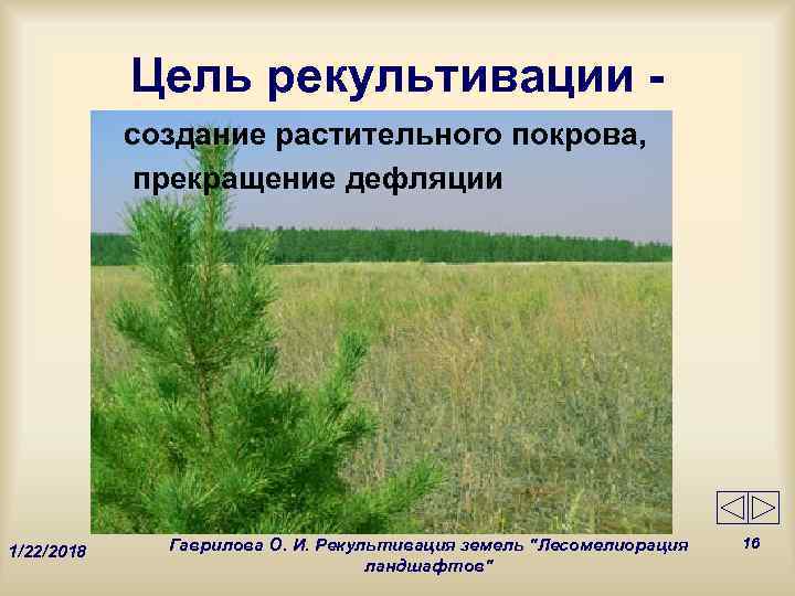   Цель рекультивации -   создание растительного покрова,   прекращение дефляции