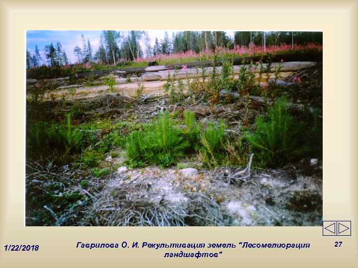   Гаврилова О. И. Рекультивация земель 