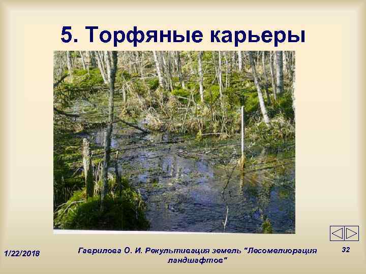   5. Торфяные карьеры   Гаврилова О. И. Рекультивация земель 