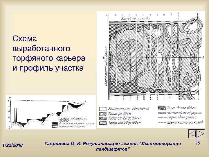   Схема выработанного торфяного карьера и профиль участка   Гаврилова О. И.