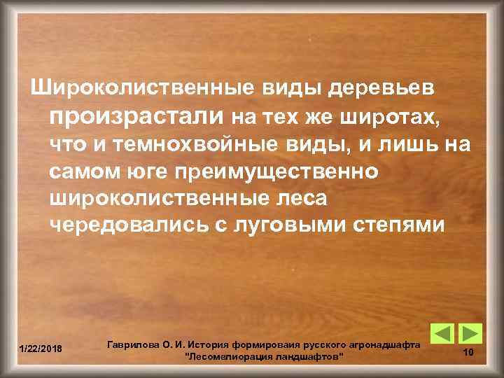  Широколиственные виды деревьев  произрастали на тех же широтах, что и темнохвойные виды,