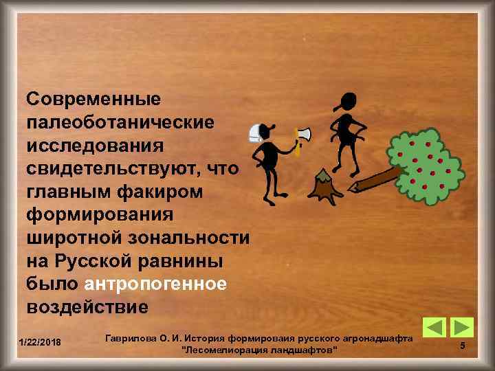  Современные палеоботанические исследования свидетельствуют, что главным факиром формирования широтной зональности на Русской равнины