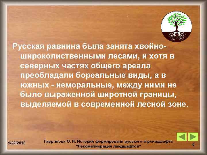  Русская равнина была занята хвойно- широколиственными лесами, и хотя в северных частях общего