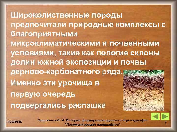  Широколиственные породы  предпочитали природные комплексы с  благоприятными  микроклиматическими и почвенными