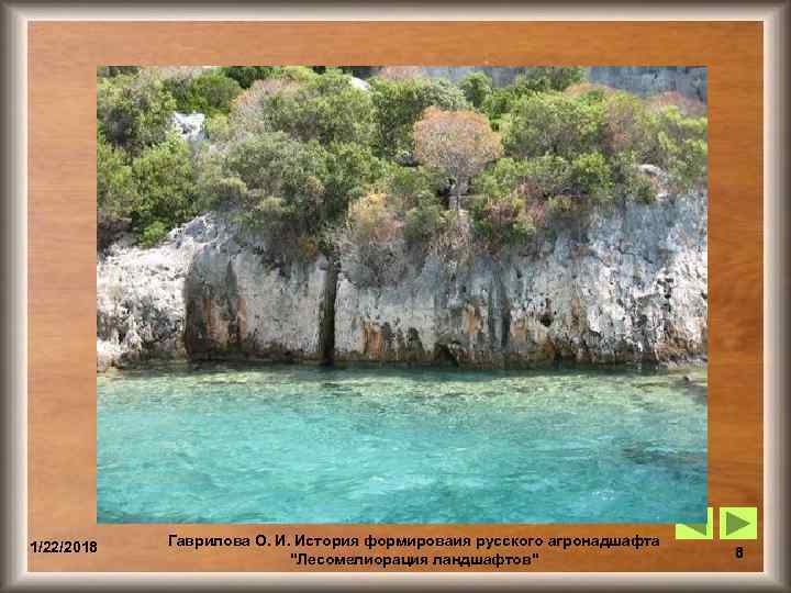 1/22/2018  Гаврилова О. И. История формироваия русского агронадшафта     