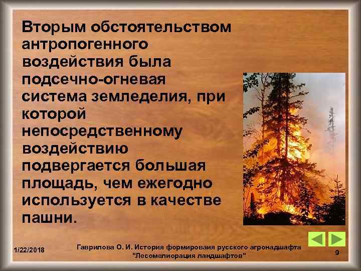  Вторым обстоятельством  антропогенного  воздействия была  подсечно-огневая  система земледелия, при