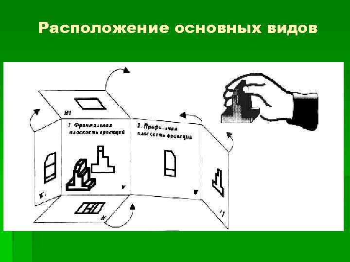 Расположение основных видов 