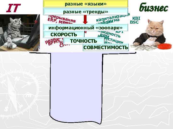 IT разные «языки» прер разные «тренды» IT разные «языки» прер разные «тренды»