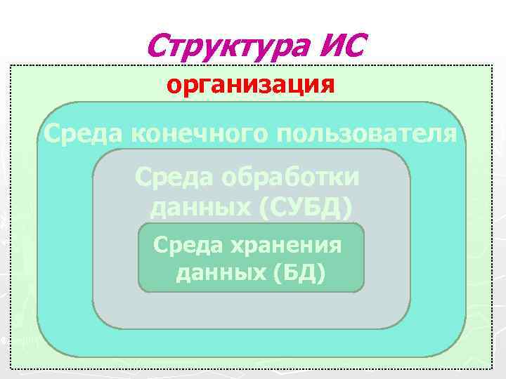 Структура ИС организация Среда конечного пользователя Среда обработки данных Структура ИС организация Среда конечного пользователя Среда обработки данных