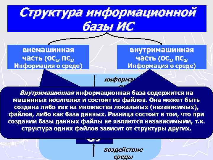 Структура информационной базы ИС внемашинная внутримашинная Структура информационной базы ИС внемашинная внутримашинная