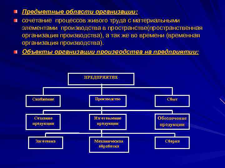 Предметные области организации: сочетание процессов живого труда с материальными элементами производства в пространстве(пространственная организация