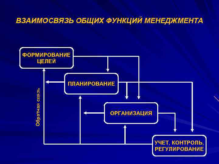 Система управления в природе презентация