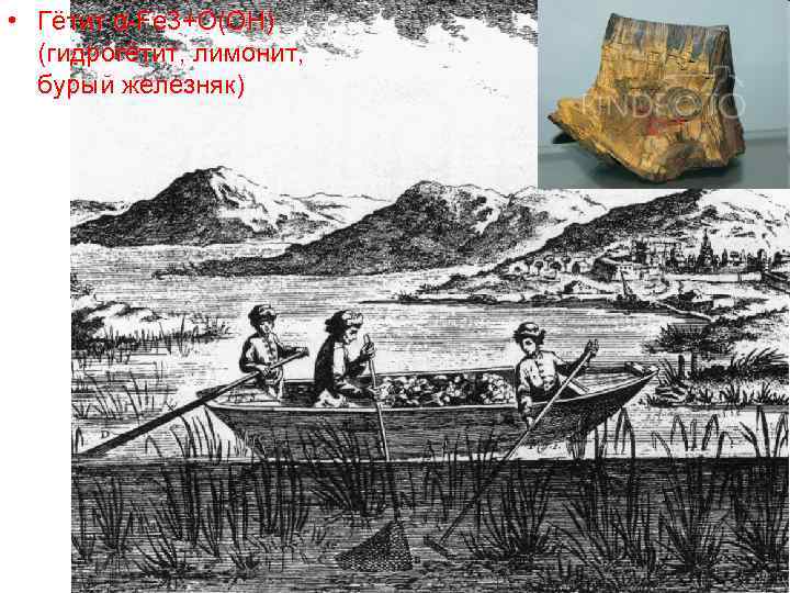 • Гётит α-Fe 3+О(ОН) (гидрогётит, лимонит, бурый железняк) • Гётит α-Fe 3+О(ОН) (гидрогётит, лимонит, бурый железняк)