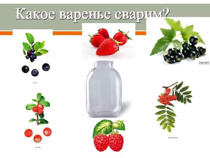 Какое варенье сварим? 