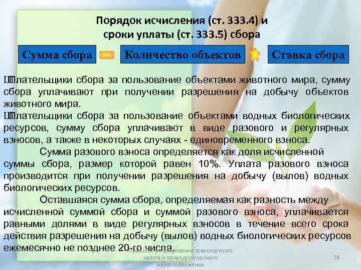 Порядок исчисления и сроки уплаты сбора. Порядок исчисления и сроки уплаты сбора