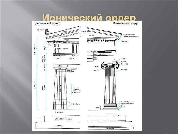 Ионический ордер Ионический ордер