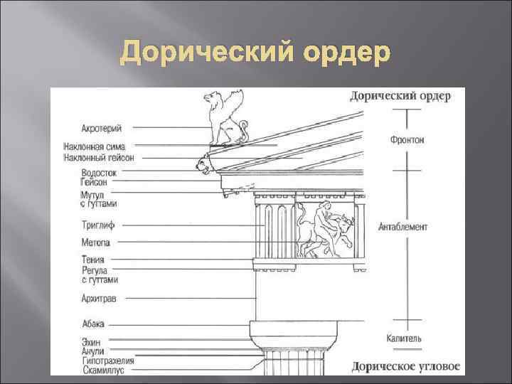 Ионический ордер схема