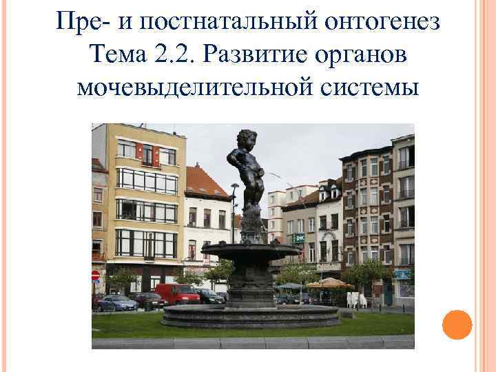 Пре- и постнатальный онтогенез  Тема 2. 2. Развитие органов  мочевыделительной системы 