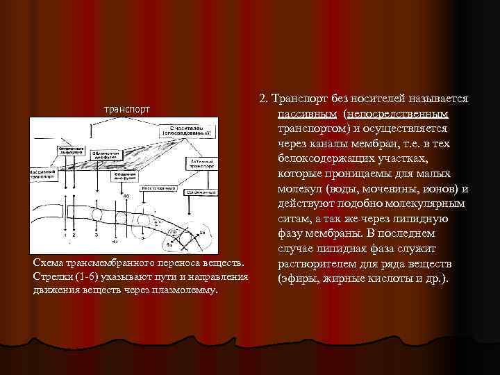     2. Транспорт без носителей называется    транспорт 