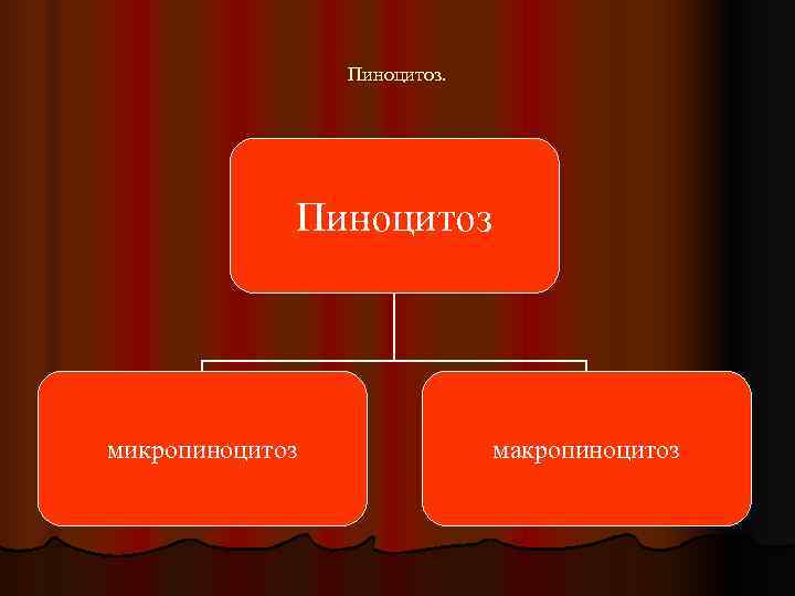   Пиноцитоз микропиноцитоз    макропиноцитоз 