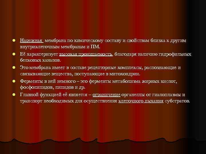 l  Наружная мембрана по химическому составу и свойствам близка к другим внутриклеточным мембранам