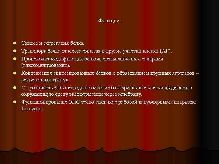        Функции. l  Синтез и сегрегация белка.