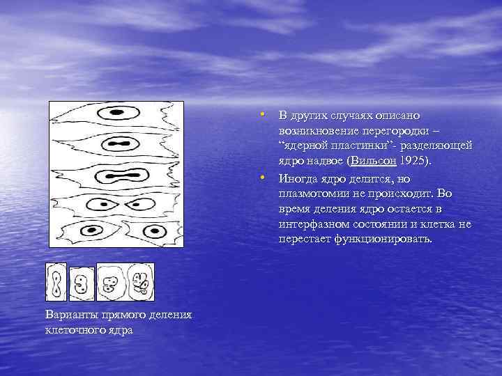       • В других случаях описано   
