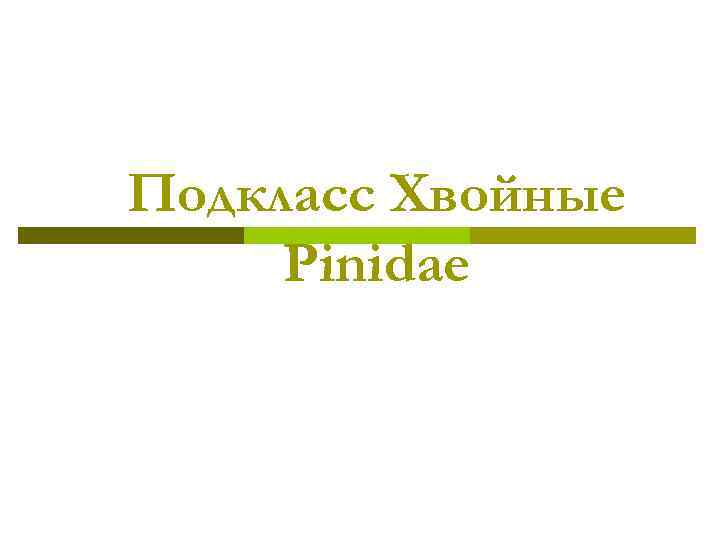 Подкласс Хвойные Pinidae 