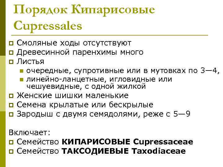 Порядок Кипарисовые Cupressales p  Смоляные ходы отсутствуют p  Древесинной паренхимы много p