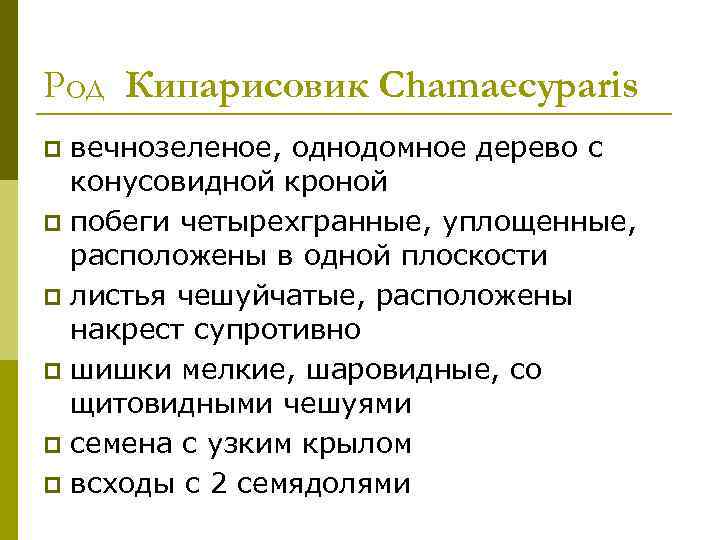 Род Кипарисовик Chamaecyparis p вечнозеленое, однодомное дерево с  конусовидной кроной p побеги четырехгранные,