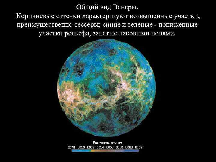    Общий вид Венеры.  Коричневые оттенки характеризуют возвышенные участки,  преимущественно
