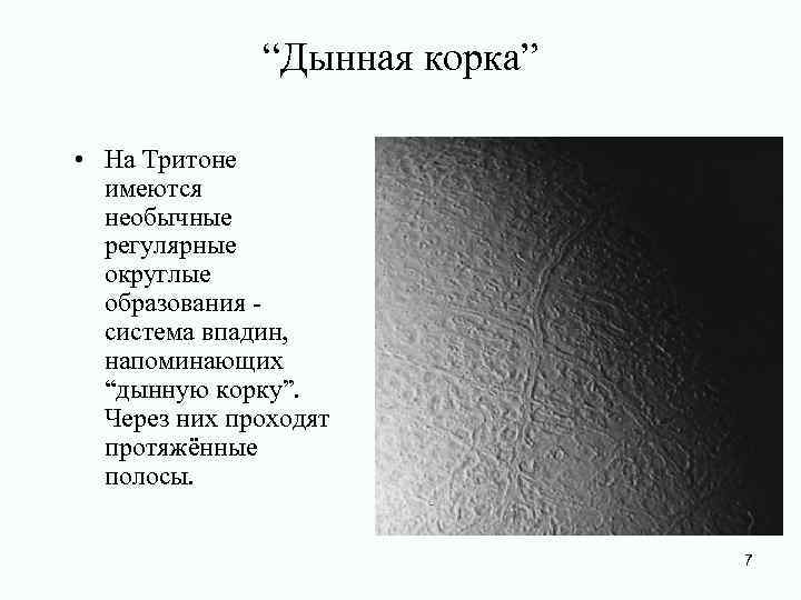    “Дынная корка”  • На Тритоне  имеются  необычные 