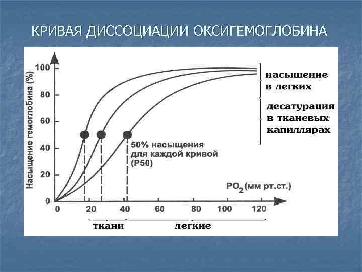 КРИВАЯ ДИССОЦИАЦИИ ОКСИГЕМОГЛОБИНА 