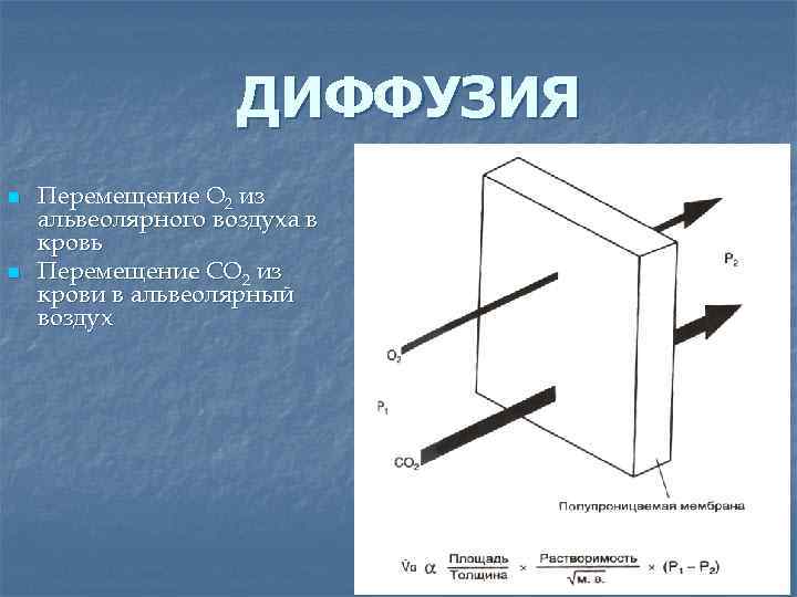     ДИФФУЗИЯ n  Перемещение О 2 из альвеолярного воздуха в