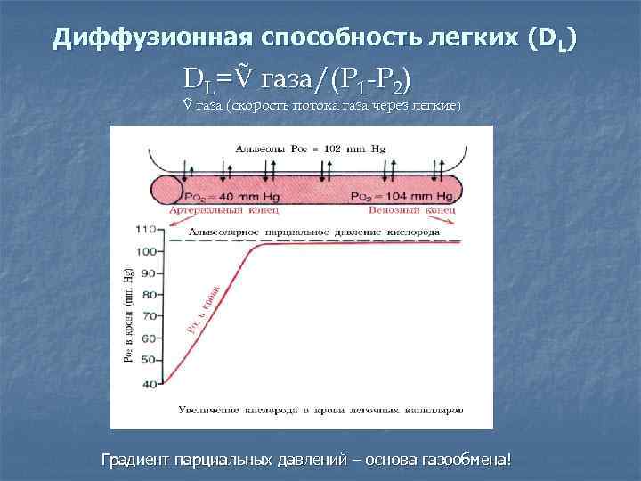 Диффузионная способность легких (DL)   DL=Ṽ газа/(Р 1 -Р 2)   Ṽ