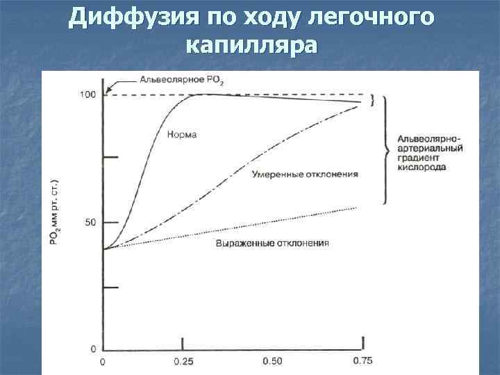 Диффузия по ходу легочного капилляра Диффузия по ходу легочного капилляра