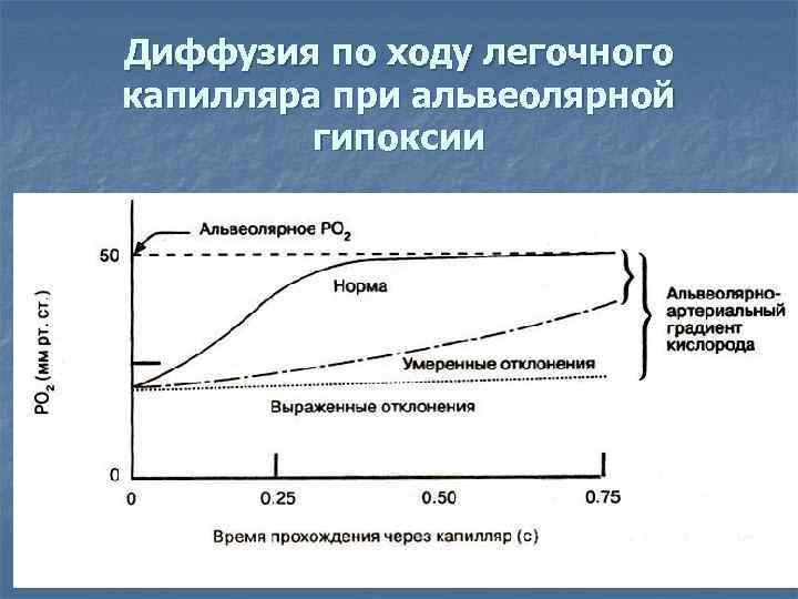 Диффузия по ходу легочного капилляра при альвеолярной гипоксии Диффузия по ходу легочного капилляра при альвеолярной гипоксии