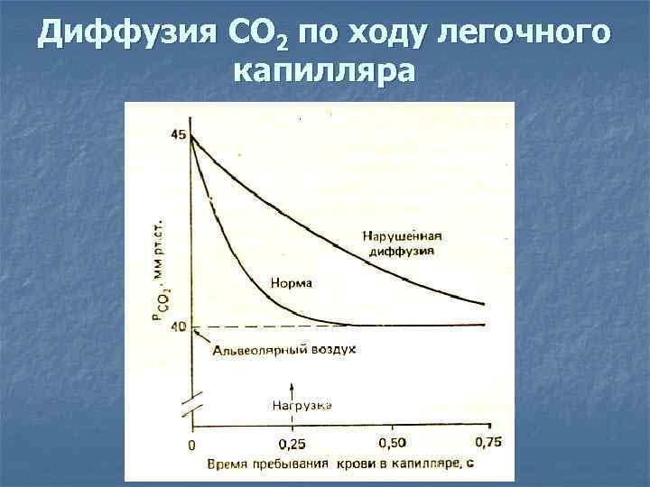 Диффузия СО 2 по ходу легочного капилляра Диффузия СО 2 по ходу легочного капилляра