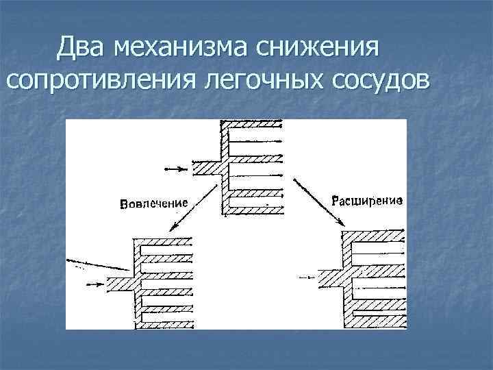  Два механизма снижения сопротивления легочных сосудов 